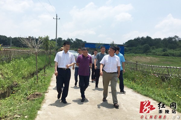 市委组织部副部长、市人社局局长蒋湘晖来茶调研