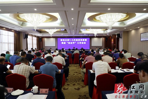 茶陵县召开研究分析1-5月份经济形势暨调度“双过半”工作会议