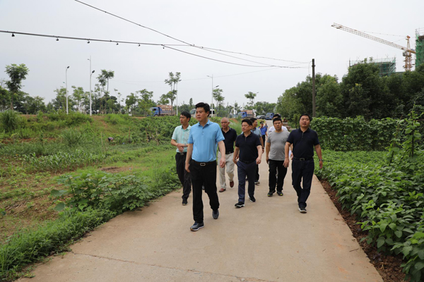 彭新军深入洣水环流风光带调研周边土地规划利用情况