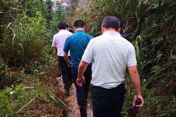 市委副书记王洪斌来攸指导抗洪救灾工作
