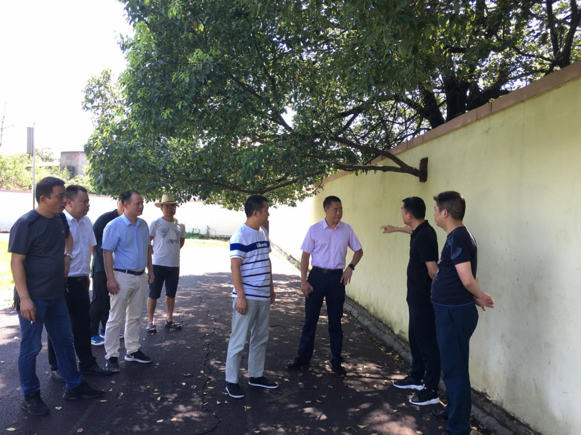 区委政法委一行到明照乡中心小学现场办公
