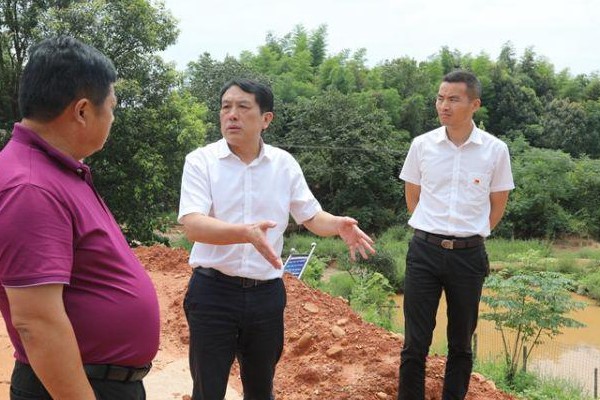 康月林到网岭指导防汛抗灾