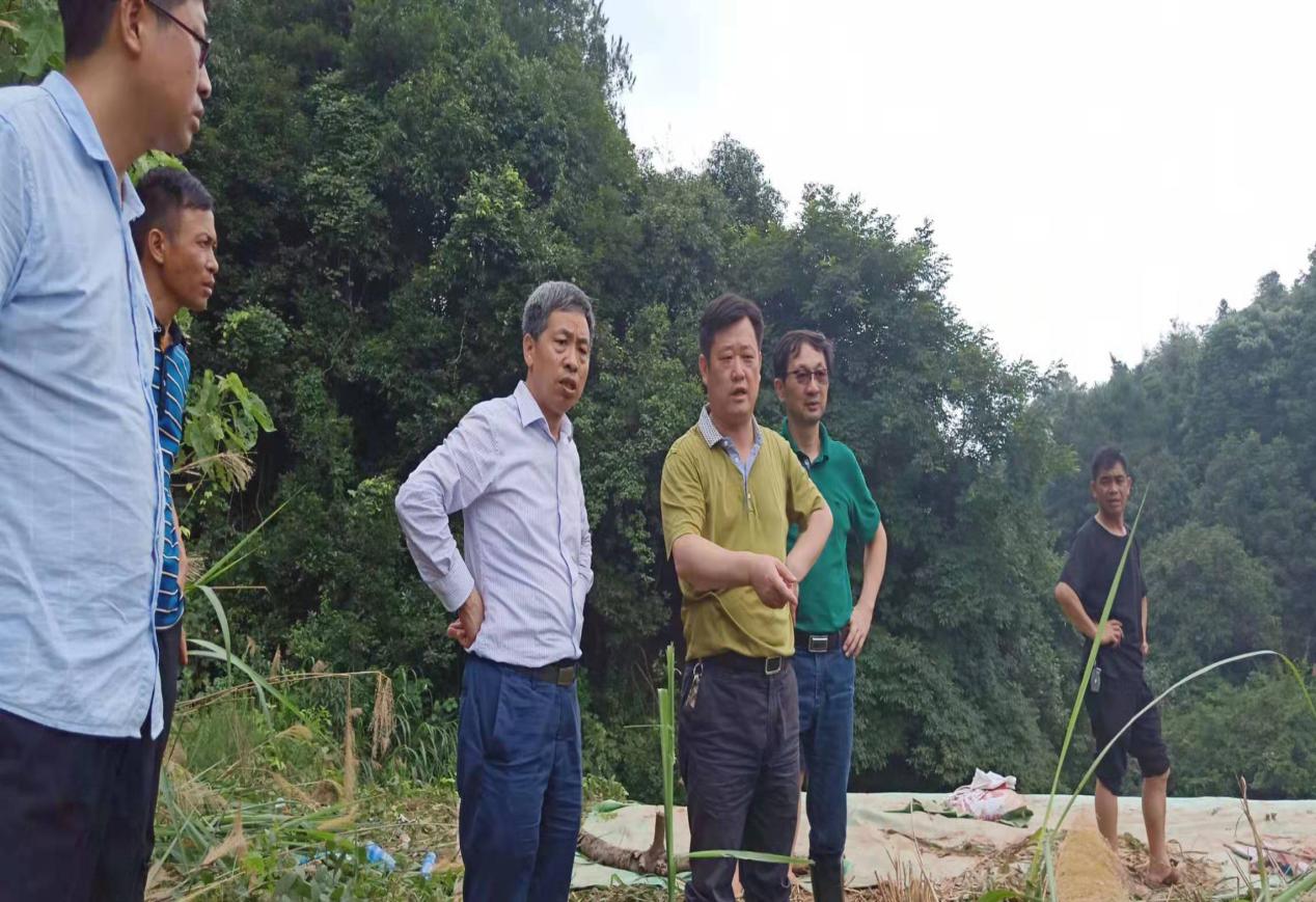 "7.6"大雨来袭，水利人在坚守