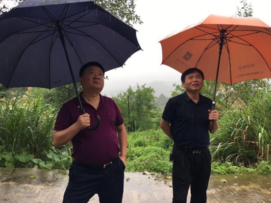 李子善一行到黄丰桥镇指导防汛工作