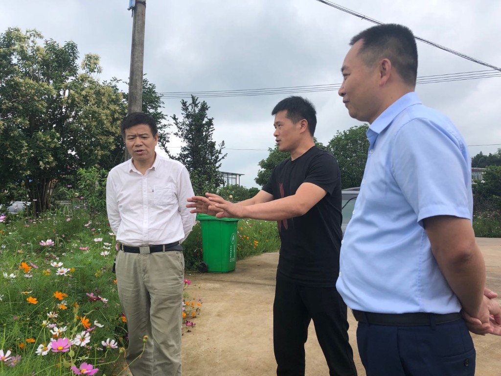 区领导深入乡镇督查指导防汛抗洪工作
