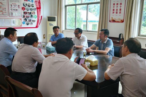 市委常委、统战部长覃万成来攸指导抗洪救灾工作