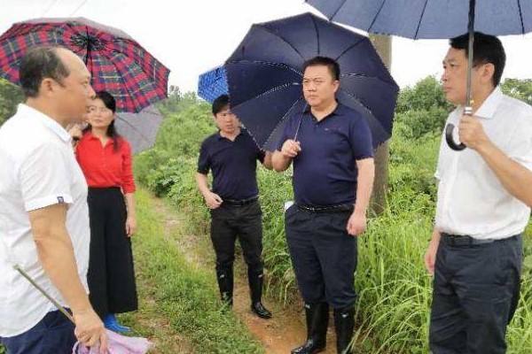扛牢责任、筑牢防线，以更昂扬的姿态迎战新一轮强降雨——康月林带头深入一线督导防汛抗灾工作