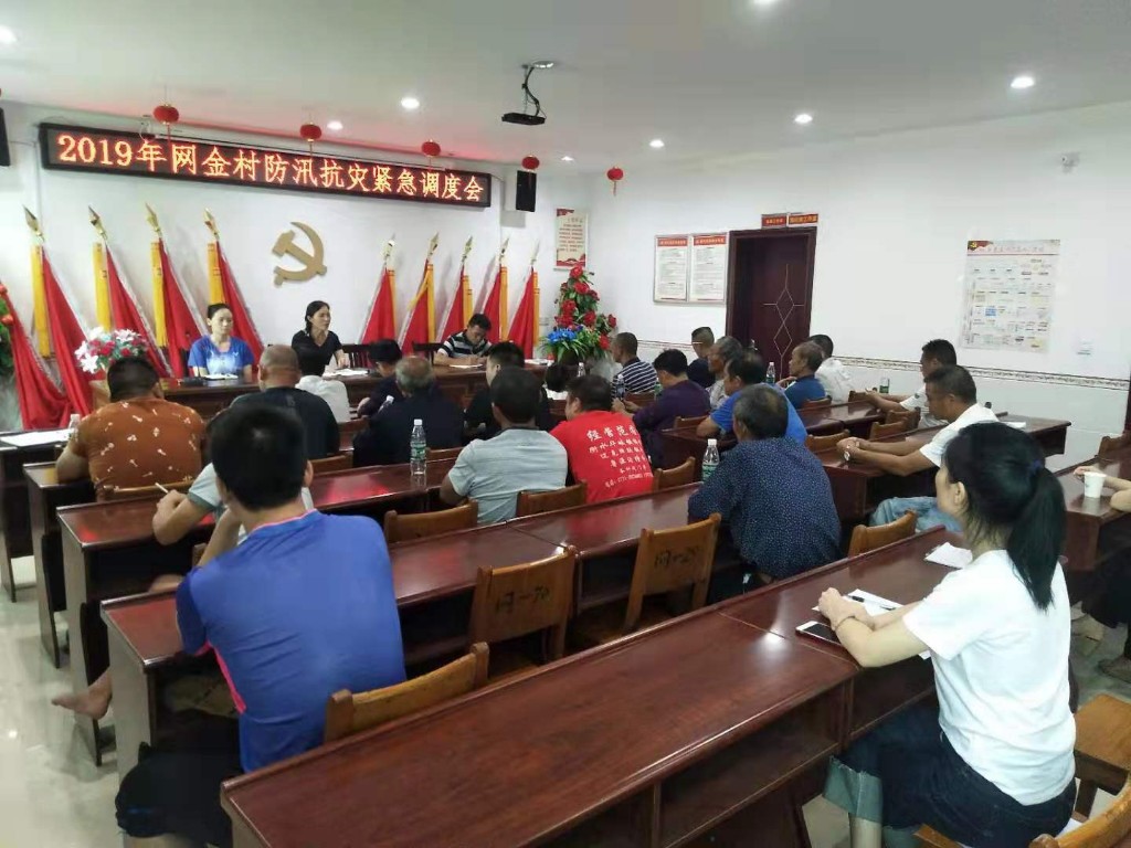 众志成城  共抗洪灾 ---防汛抢险行动中的网金村驻村帮扶队