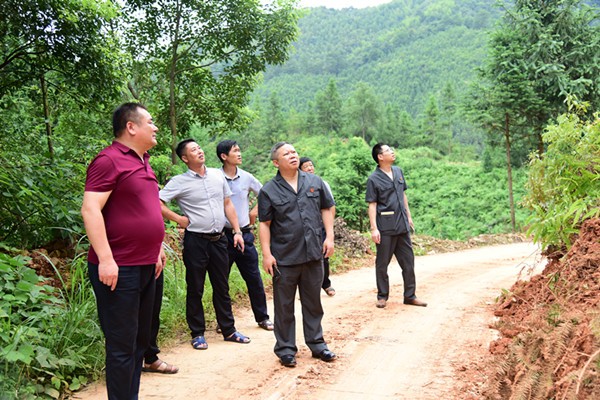 攸县法院：抗洪救灾进行时