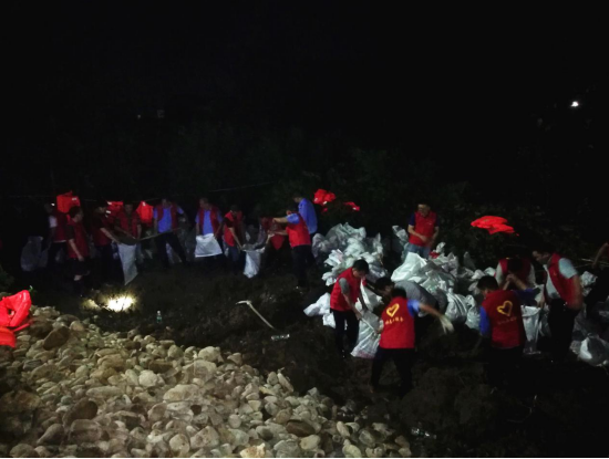 【党旗飘扬在攸县抗洪一线】 众志成城 防汛抗洪 市场服务中心在行动
