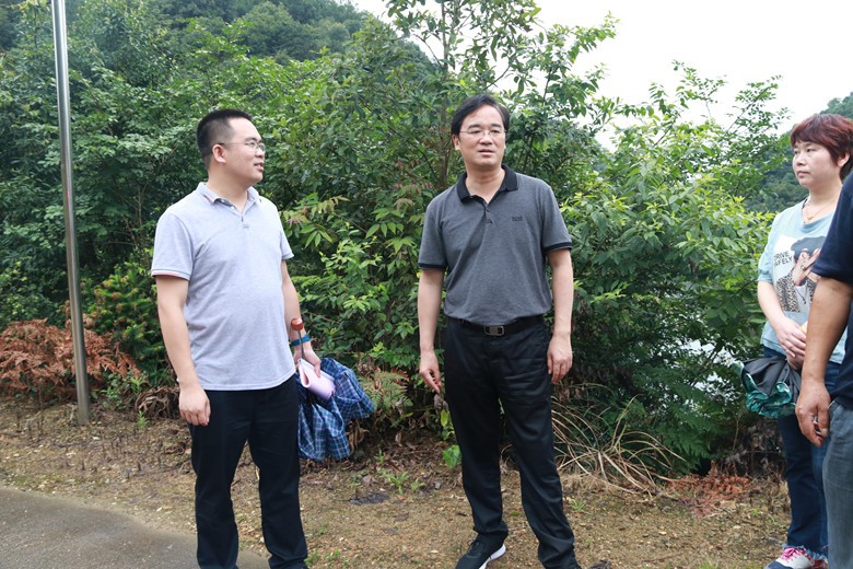 区领导深入乡镇督查指导防汛抗洪工作