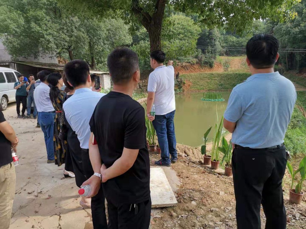 刘建南副区长召开会议推进黑臭水体治理工作