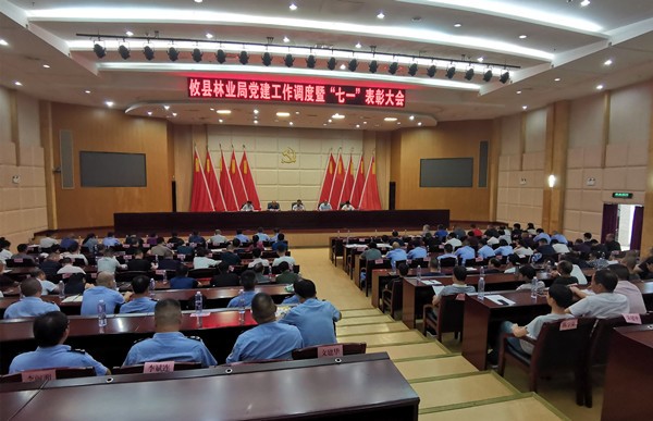 攸县林业局安排调度党建工作