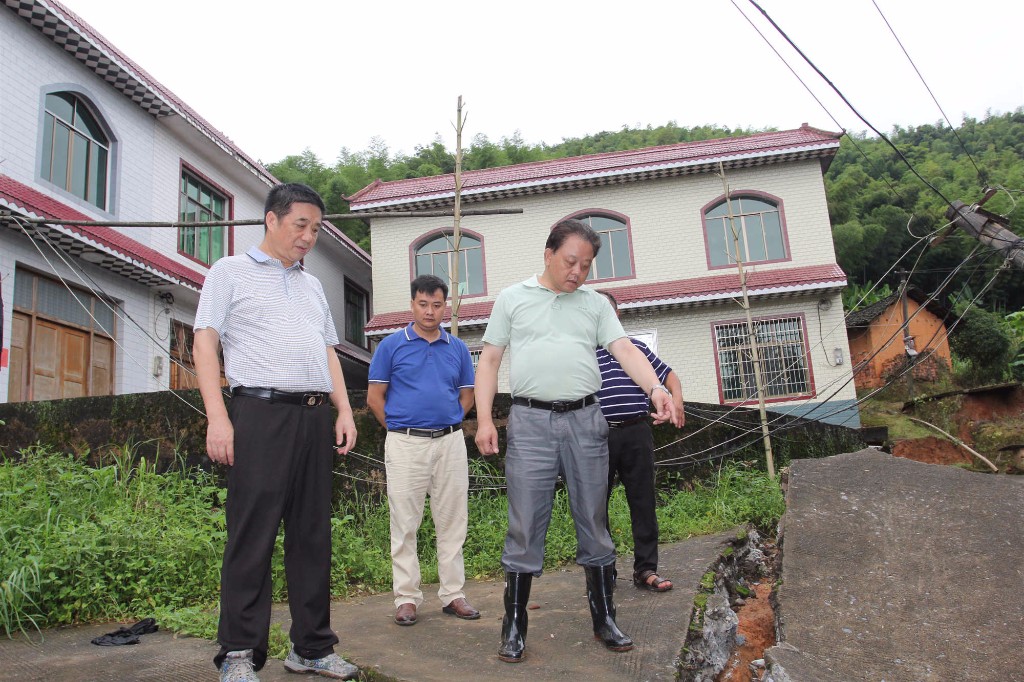 宁家坪镇：县政协主席吴爱清到宁家坪镇视察灾情