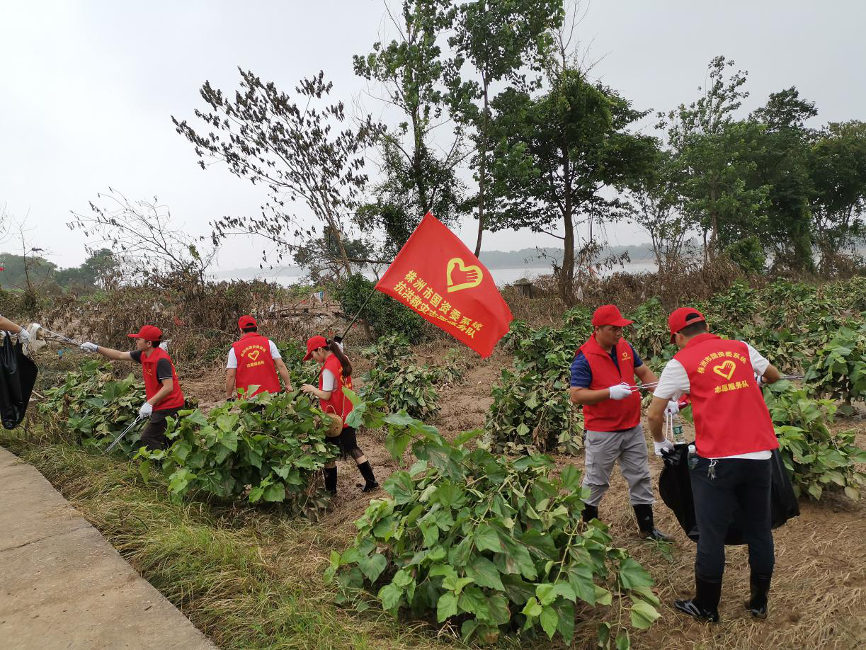 守护古桑洲 株洲国资系统志愿者在行动