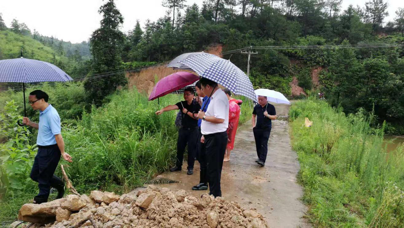 县领导到丫江桥指导抗洪抢险工作