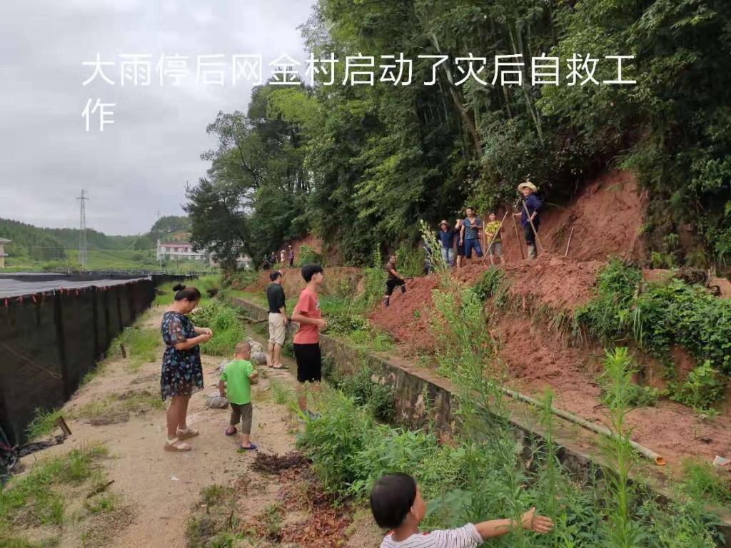 众志成城  共抗洪灾 ---防汛抢险行动中的网金村驻村帮扶队