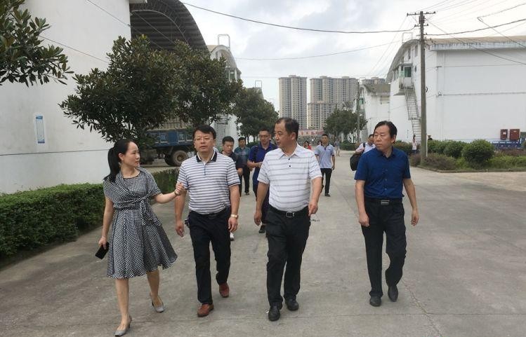 农业农村部来攸调研超标粮食处置工作