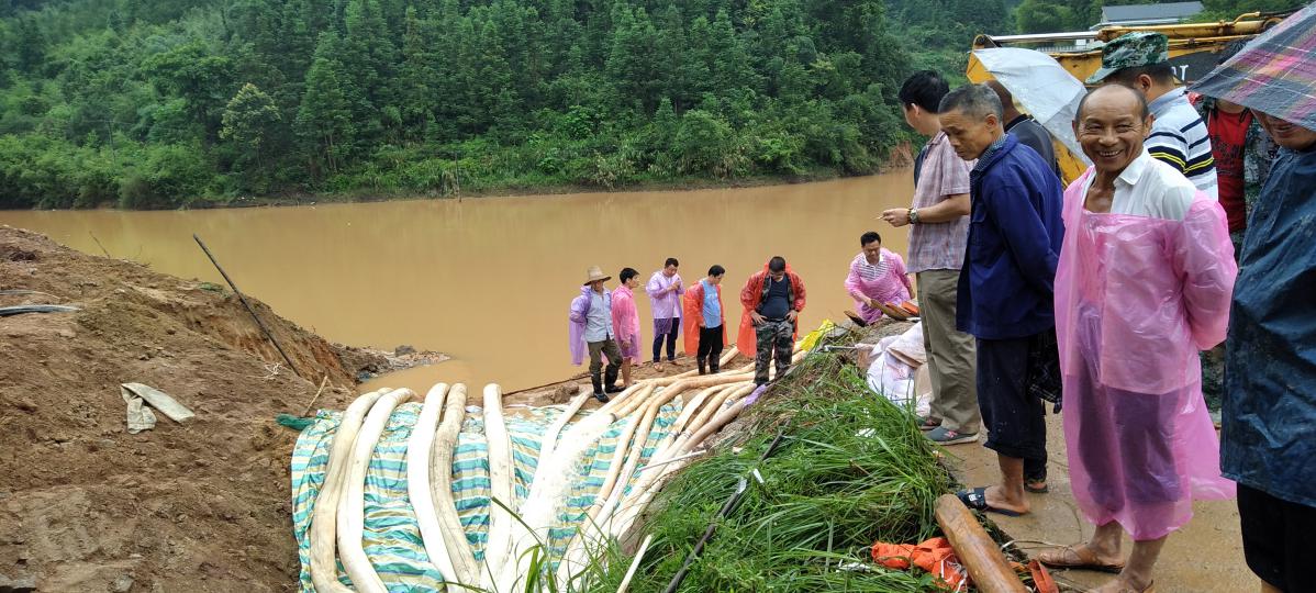 那里有险情，那里就有我们