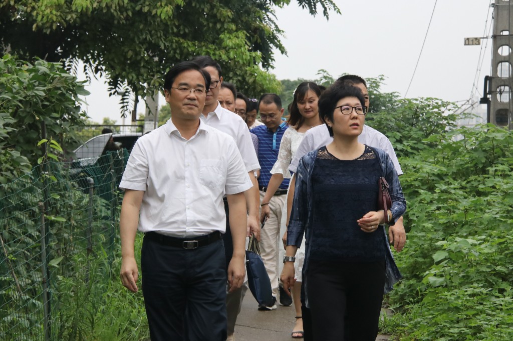 市委常委、副市长左琳一行指导荷塘区防汛抗灾工作