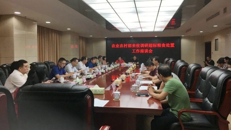 农业农村部来攸调研超标粮食处置工作