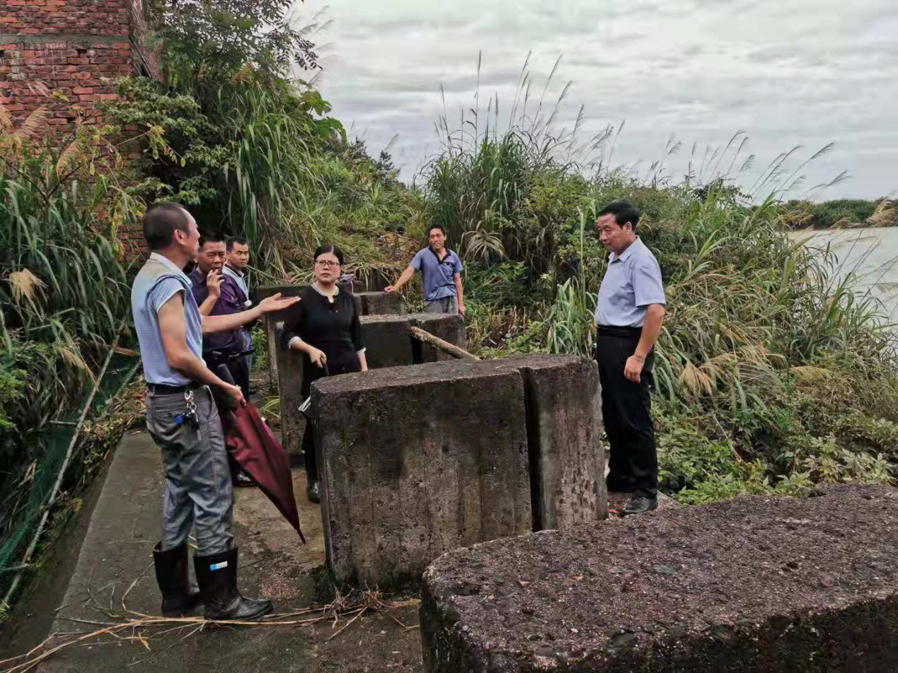 文小凤深入渌田镇指导防汛救灾工作