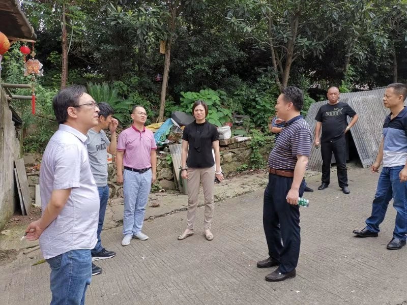 区领导深入乡镇督查指导防汛抗洪工作