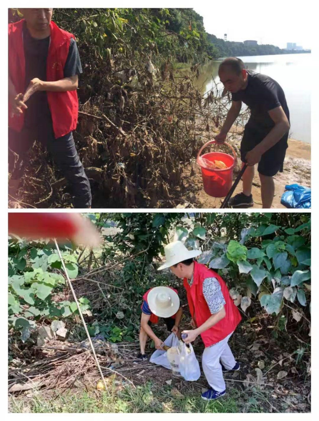 灾情过后 环保志愿者在行动