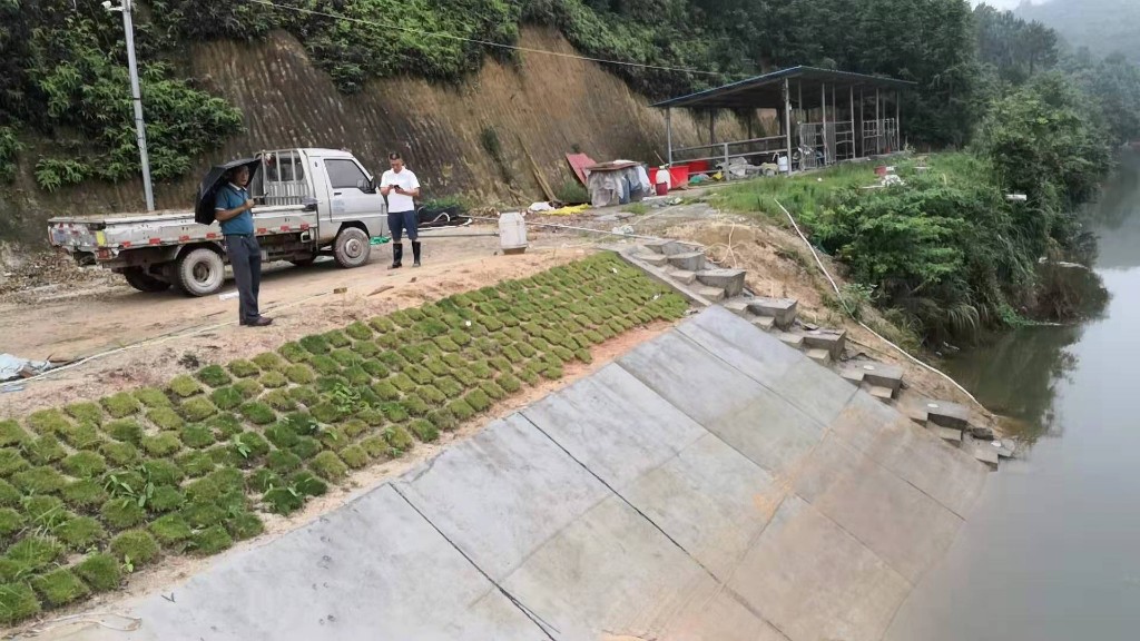 众志成城  共抗洪灾 ---防汛抢险行动中的网金村驻村帮扶队