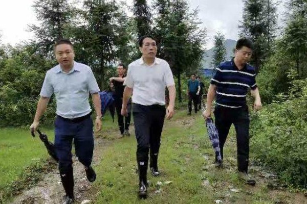 扛牢责任、筑牢防线，以更昂扬的姿态迎战新一轮强降雨——康月林带头深入一线督导防汛抗灾工作