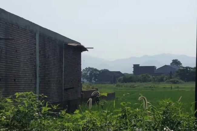 拆违一线：拆违控违工作快报（7月17日）
