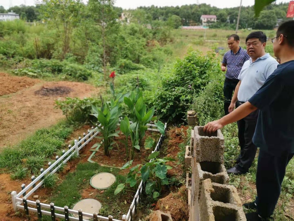 建南副区长到群丰镇调研生活污水治理情况