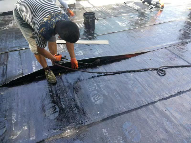 天鹅湖公园建宁驿站屋顶防渗处理
