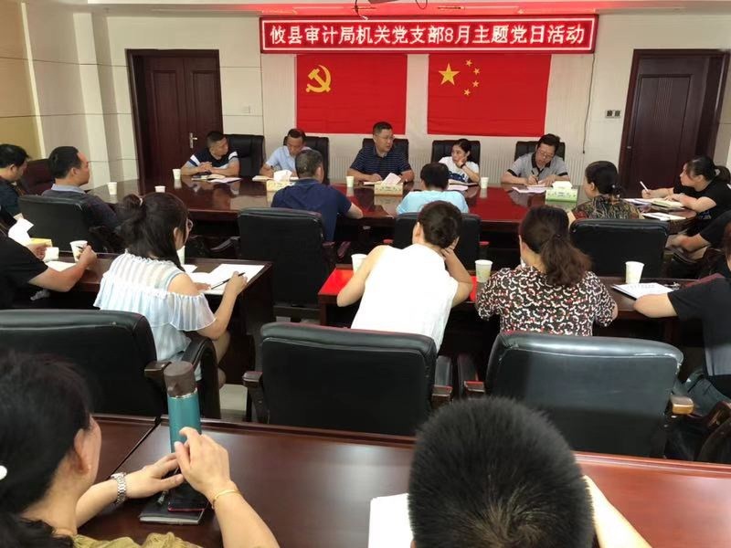 攸县审计局开展八月份主题党日活动
