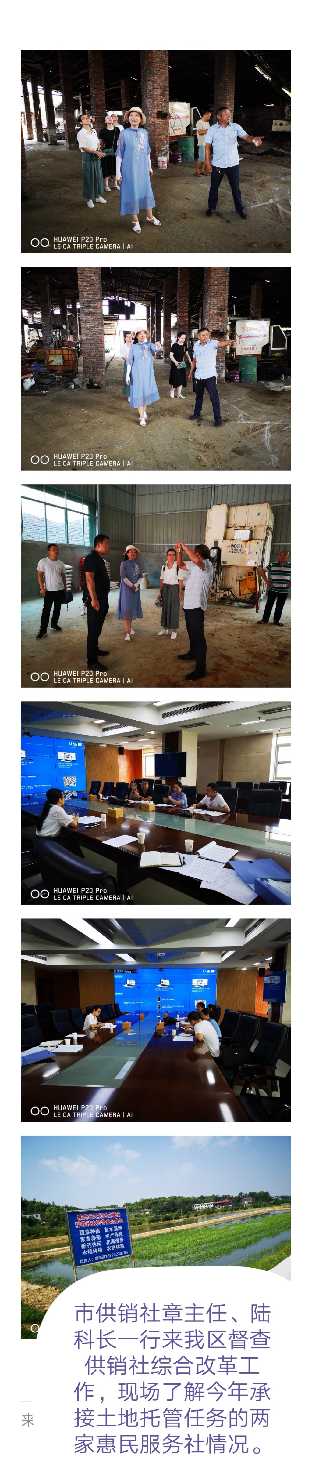 市供销社督查我区供销社综合改革工作