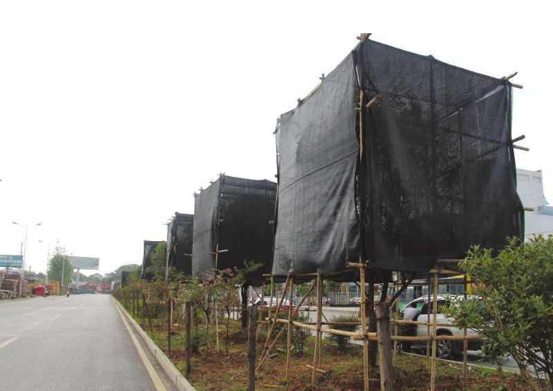 株洲市八月份园林养护工作要点