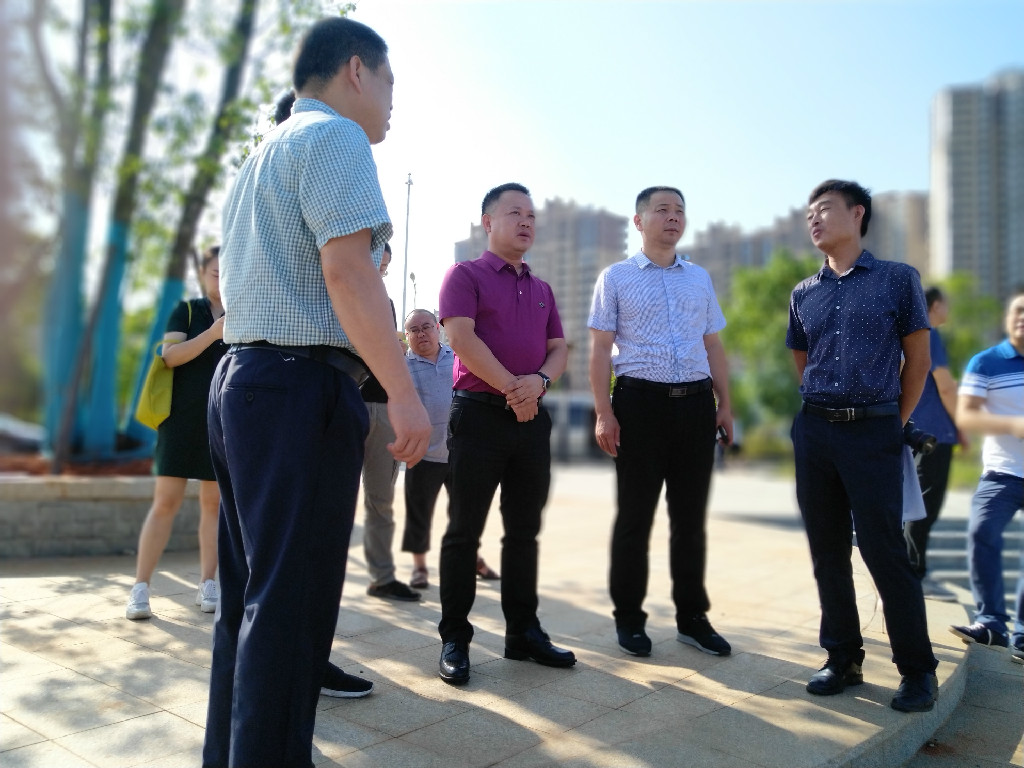晓彤局长带队督查新建公园项目进度情况