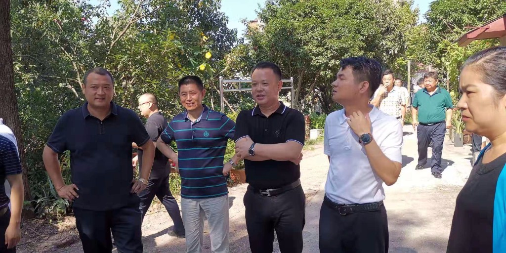拆除违章建筑，建设美丽新家园