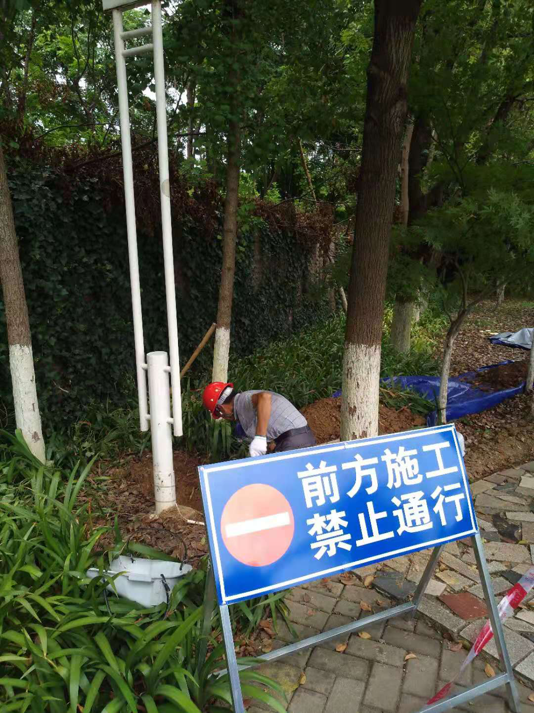 天鹅湖公园路灯改造项目开工