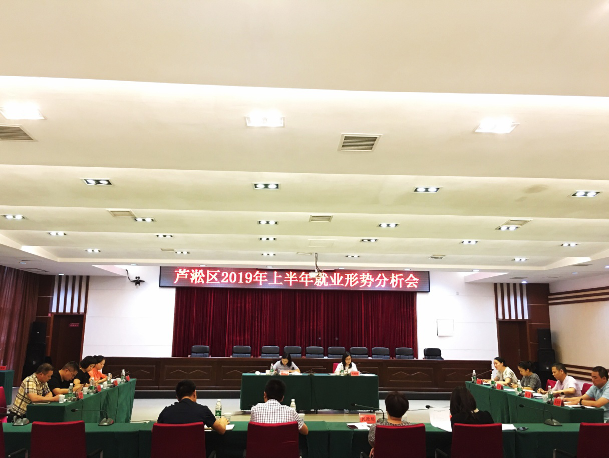 芦淞区召开上半年就业形势分析座谈会