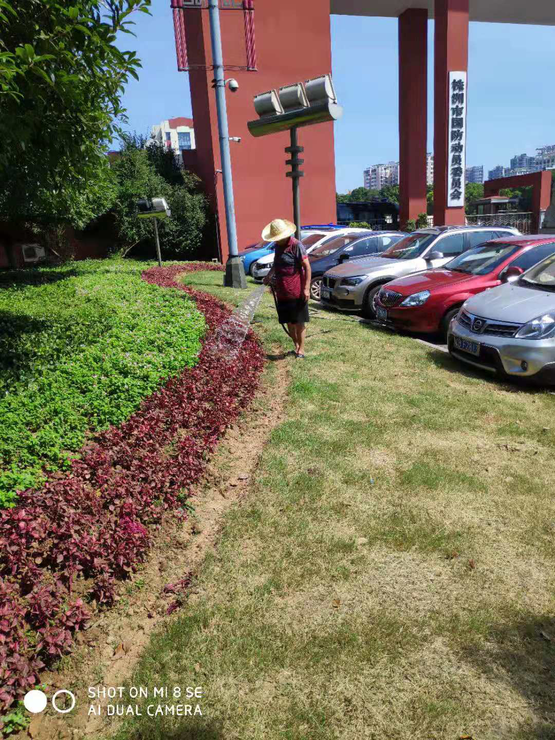 株洲市苗圃全力奋战在抗旱保苗第一线