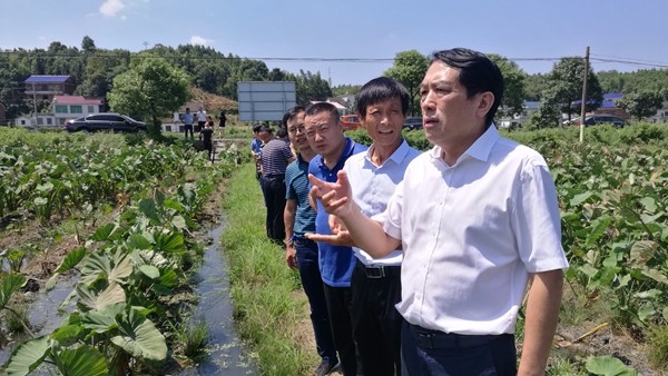 康月林深入省级贫困村调研指导“九清零”行动问题排查整改工作