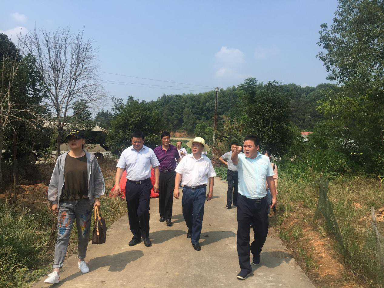 市督导组到白关镇督导“四类房” 集中整治攻坚行动