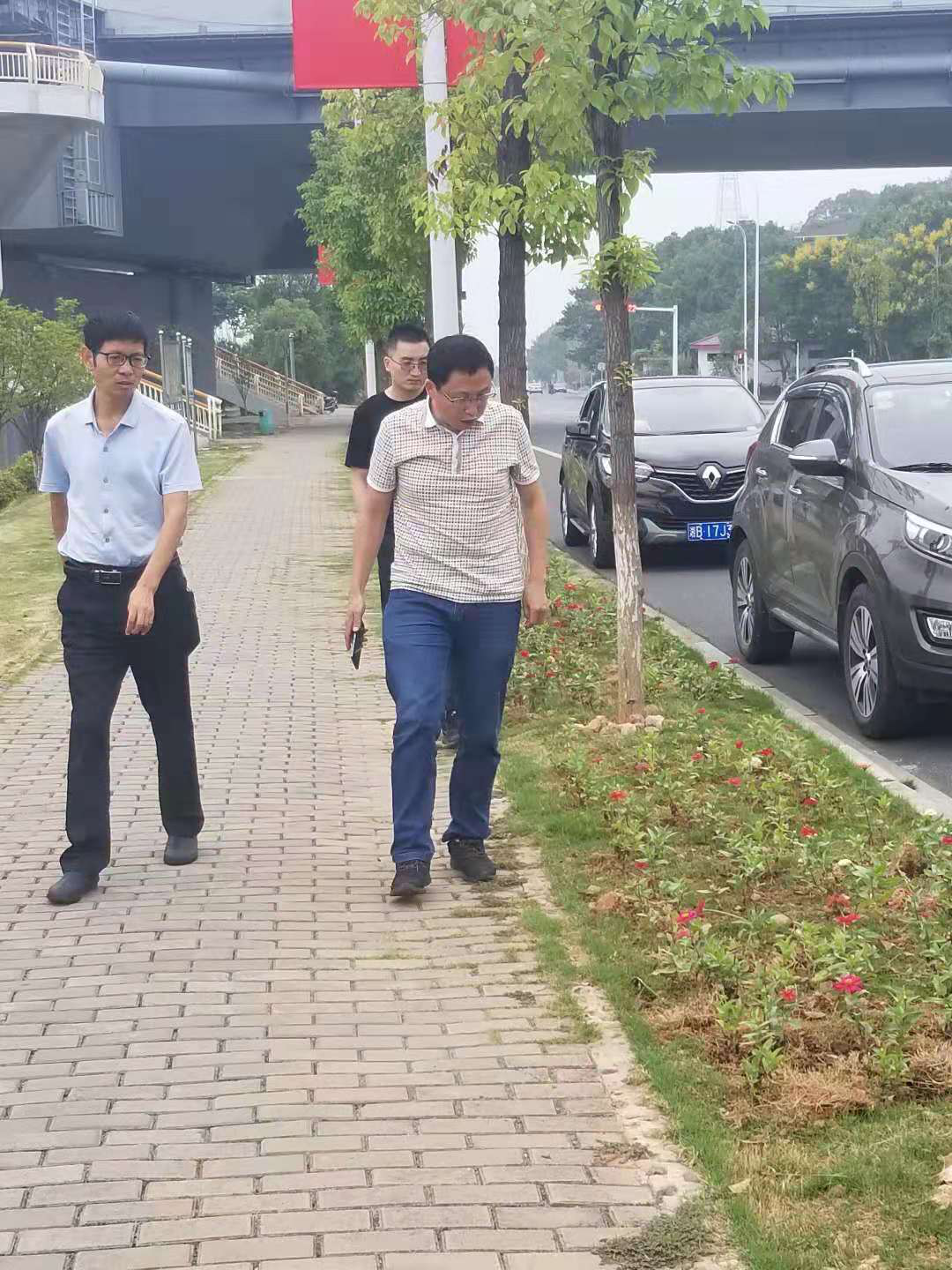 “我为国庆添喜庆”  ——国庆草花种植，技术指导保驾护航
