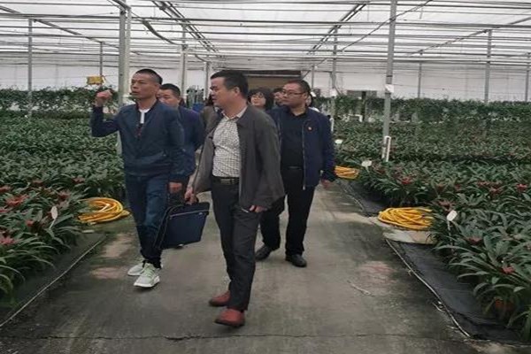 温暖企业，攸县总工会再发力