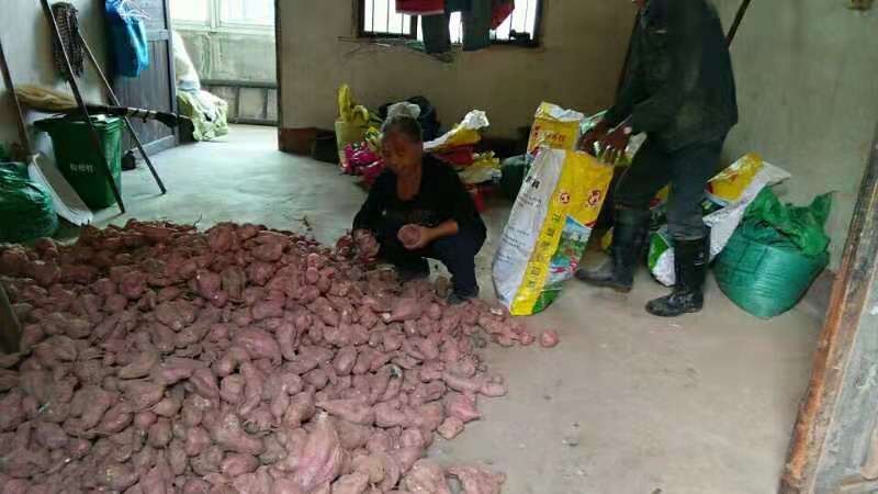 区残联主题教育:走访调研解民忧 爱心助力残疾人