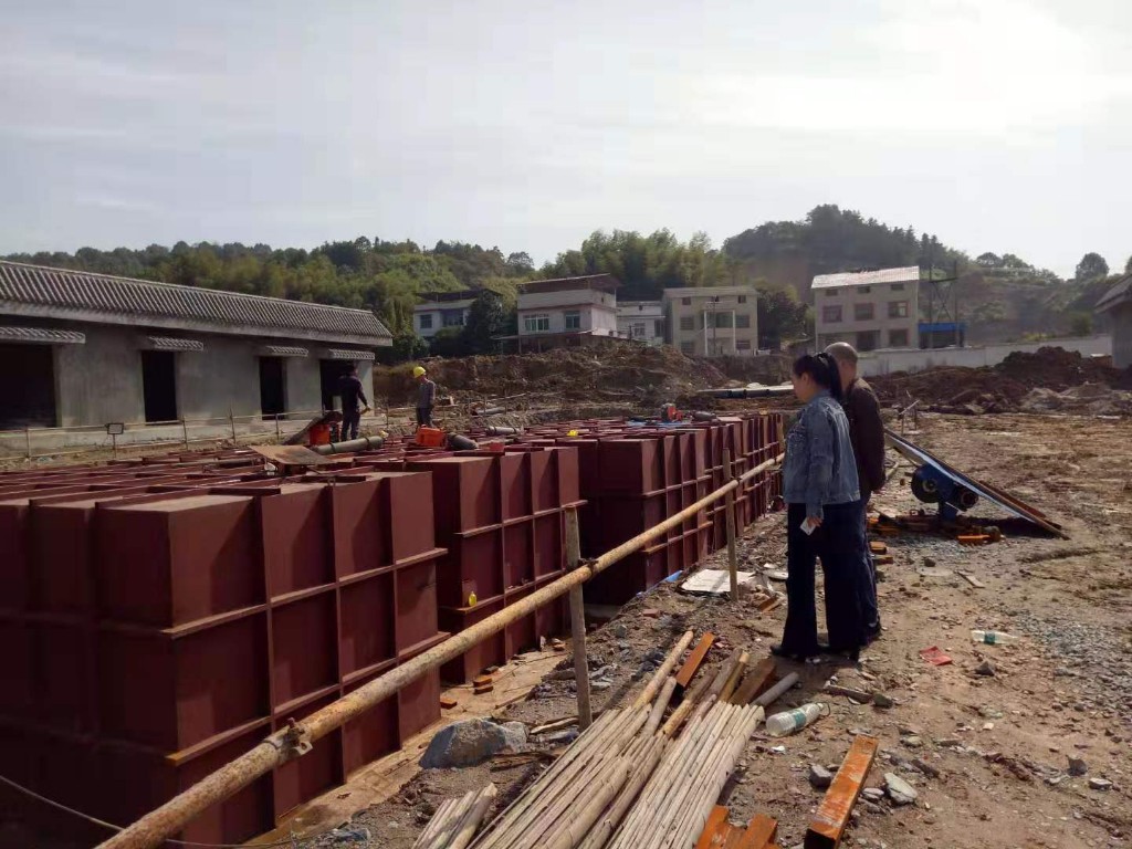 区审计局助力农村生活污水处理设施项目建设