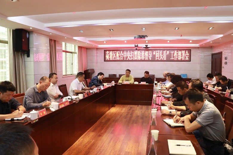 荷塘区召开配合中央扫黑除恶督导“回头看”工作部署会