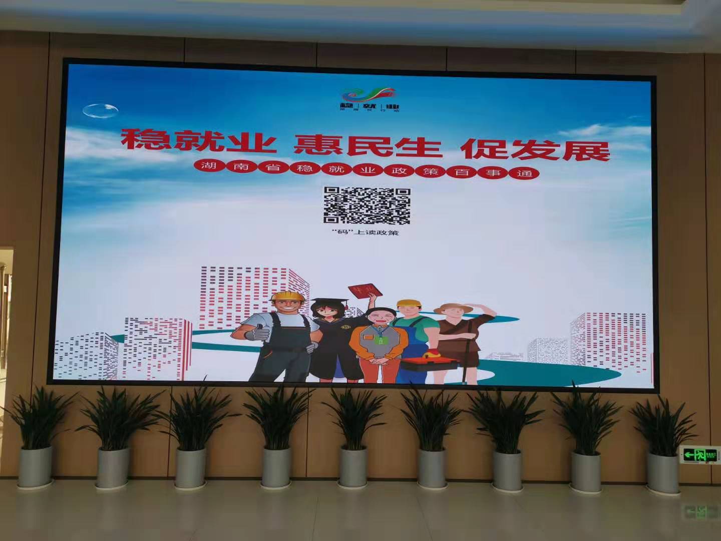 芦淞区开展稳就业政策宣传活动