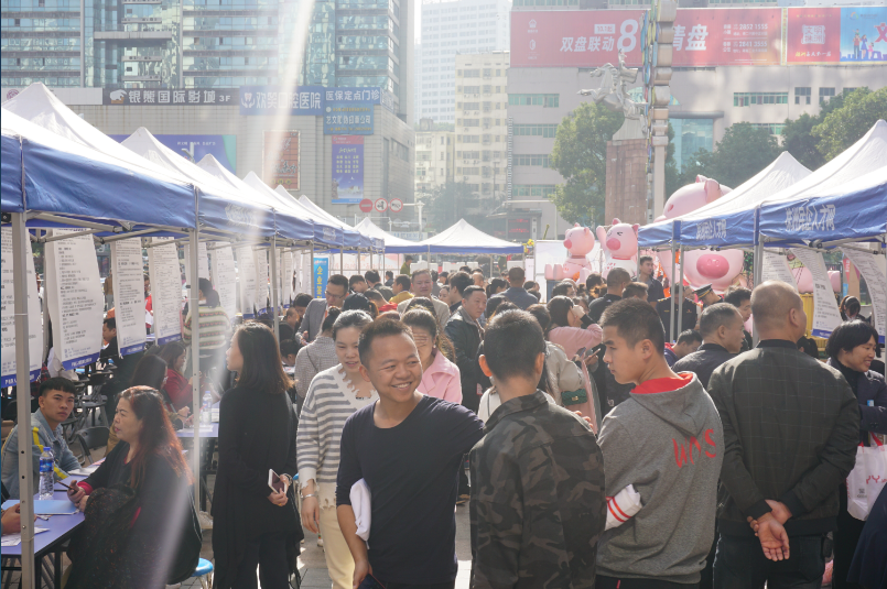 芦淞区举办2019年退役军人专场招聘会